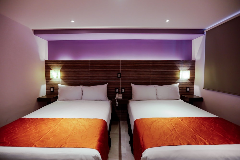 Hotel Kavia 24/41