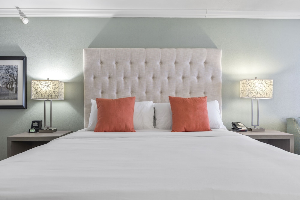Michigan, Lake, Penthouse, Studio, King Bed, Sofa