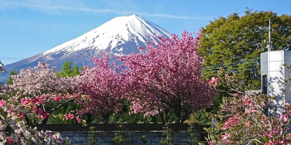Onsen Minshuku Maruyaso 47/47