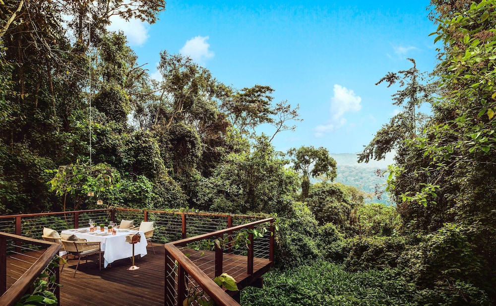 Nyungwe Tea Forest Resort 52/71