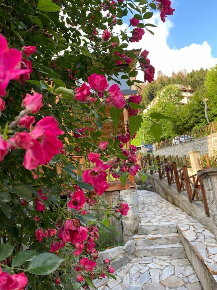 Ayder Bulut Dag Evi 21/22