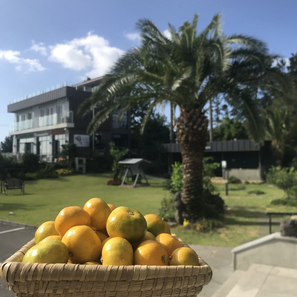 The Bay Resort 45/50