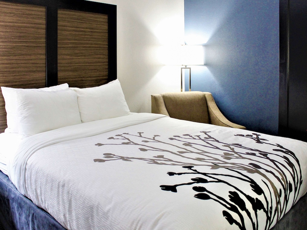 ROOM, KING BED, ACCESSIBLE