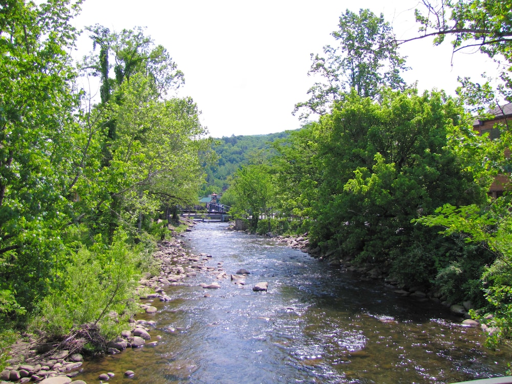 surroundings