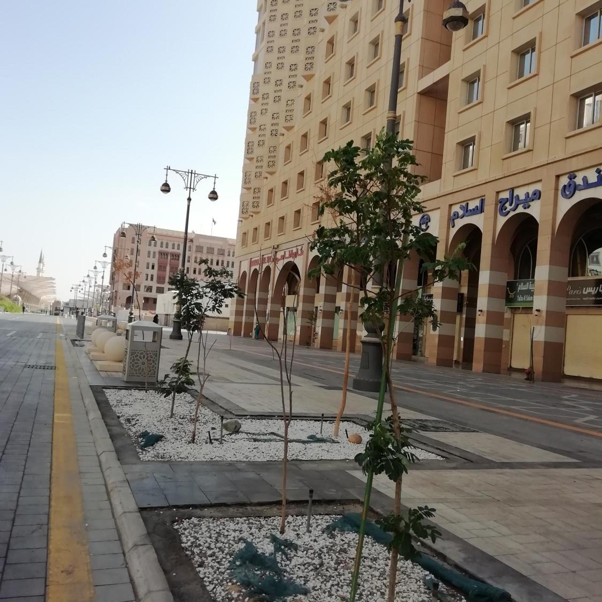 ميراج السلام(Mirage Al Salam Hotel) 48/53