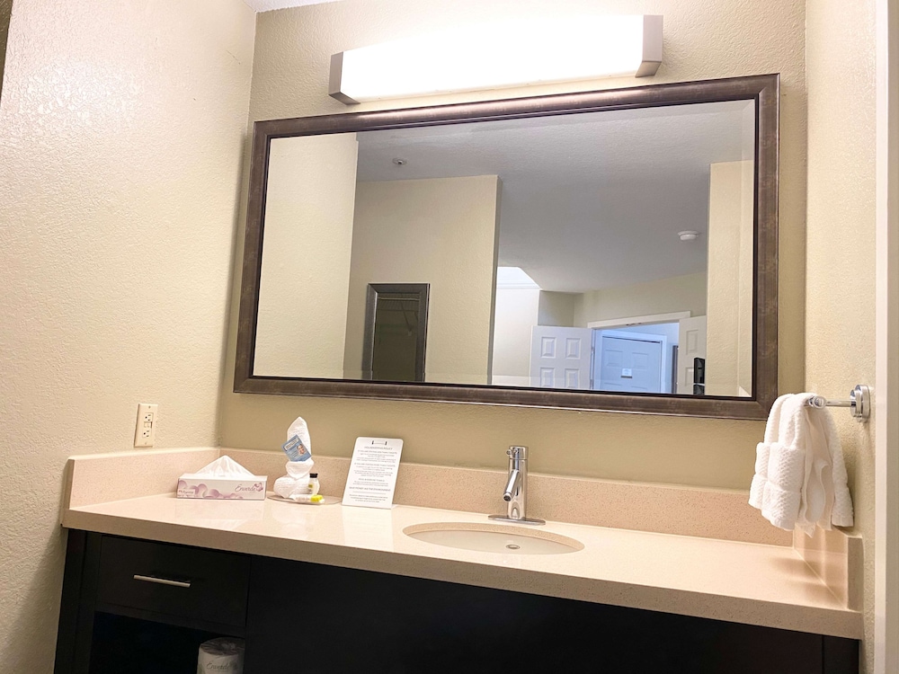 Sonesta Es Suites Dulles Airport 10/63