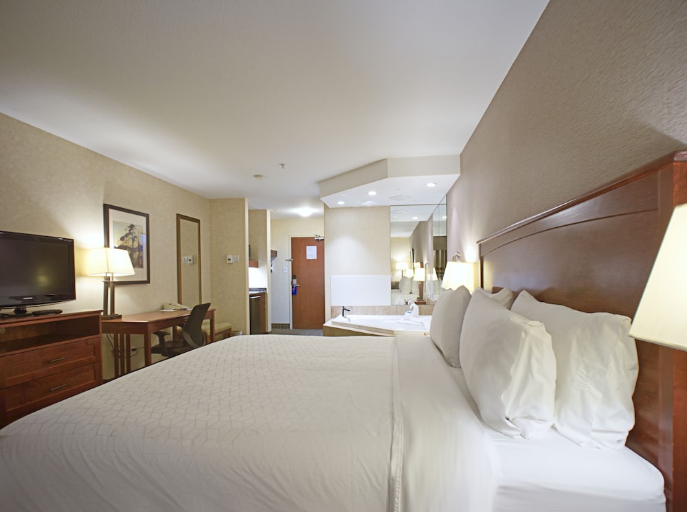 Holiday Inn Express And Suites Edmonton North 41/75
