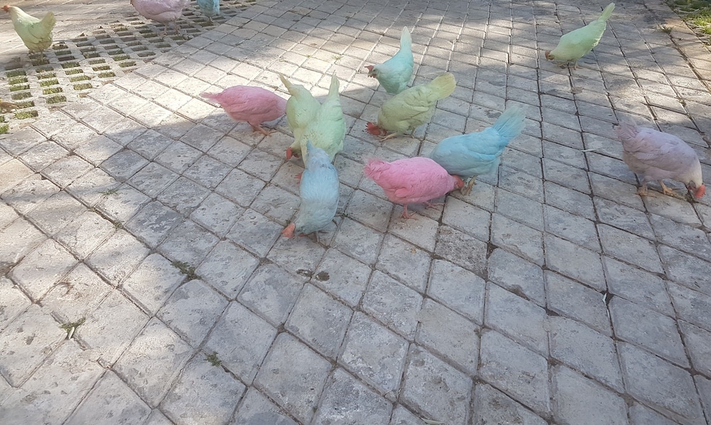 Garden Otel Amasya 28/33