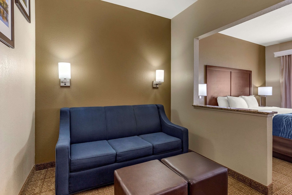 Comfort Inn & Suites Alameda At Albuquerque Balloon Fiesta Park 19/30
