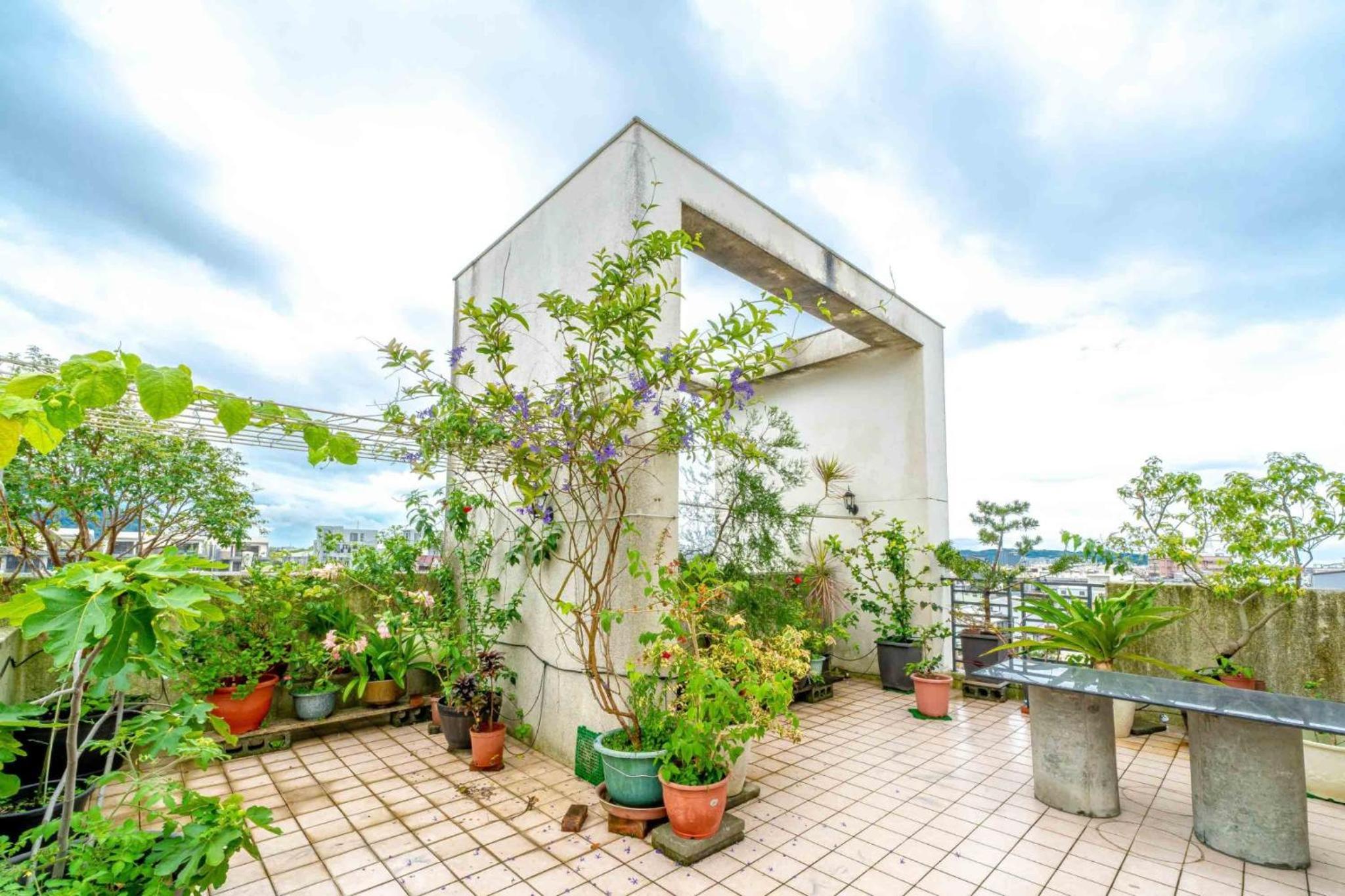 Hualien Pine 36/50