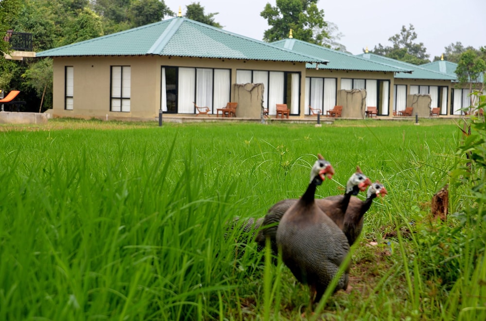 Sigiriya Kings Resort 58/61