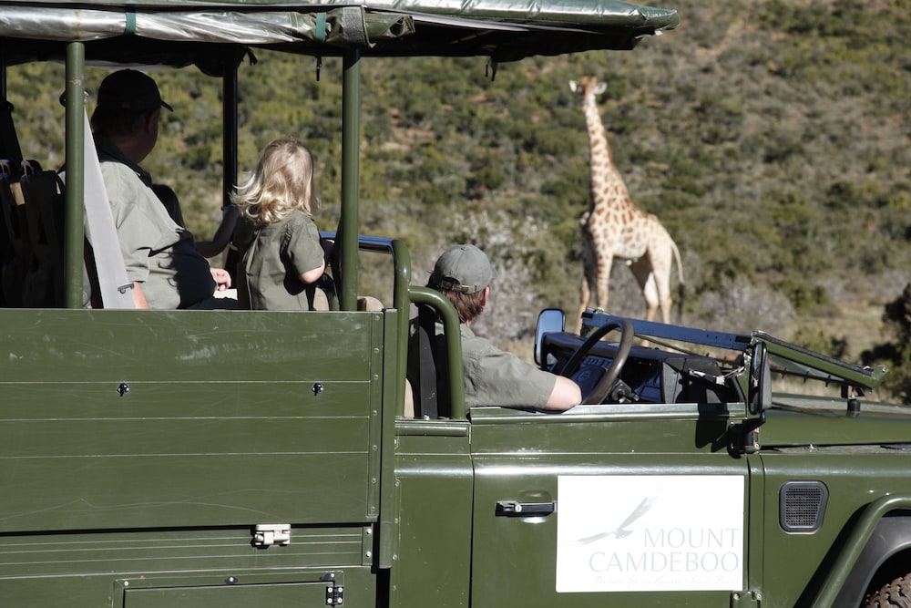 Mount Camdeboo Private Game Reserve 4/36