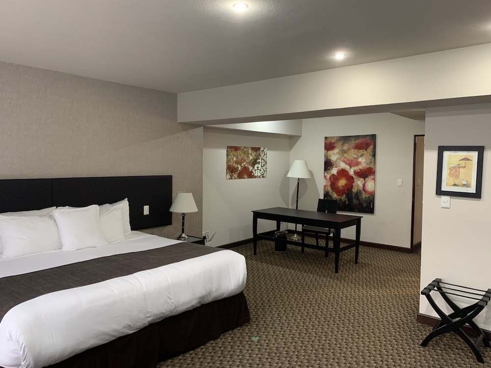 St Isidro Suites Corporate Housing SPA & Wellness Center 27/55