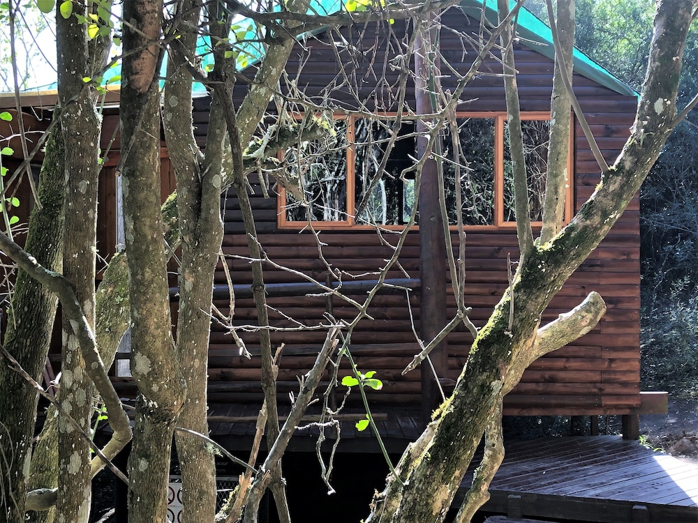 Teniqua Treetops 4/50