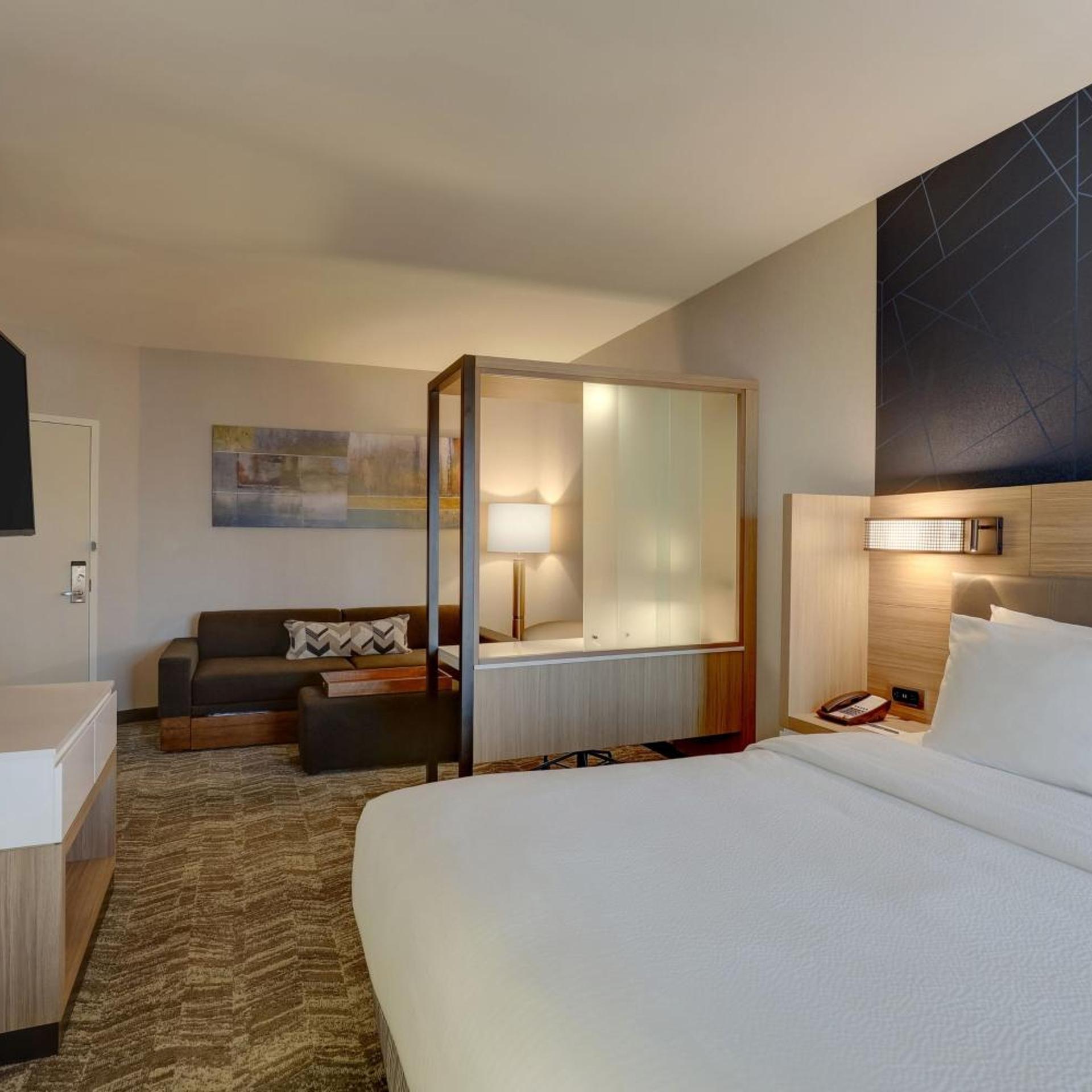 غرفة بسرير كينج مع سرير سحّاب إضافي مع أريكة بحوض استحمام لذوي الإعاقة، SpringHill Suites by Marriott Cheraw 2/7