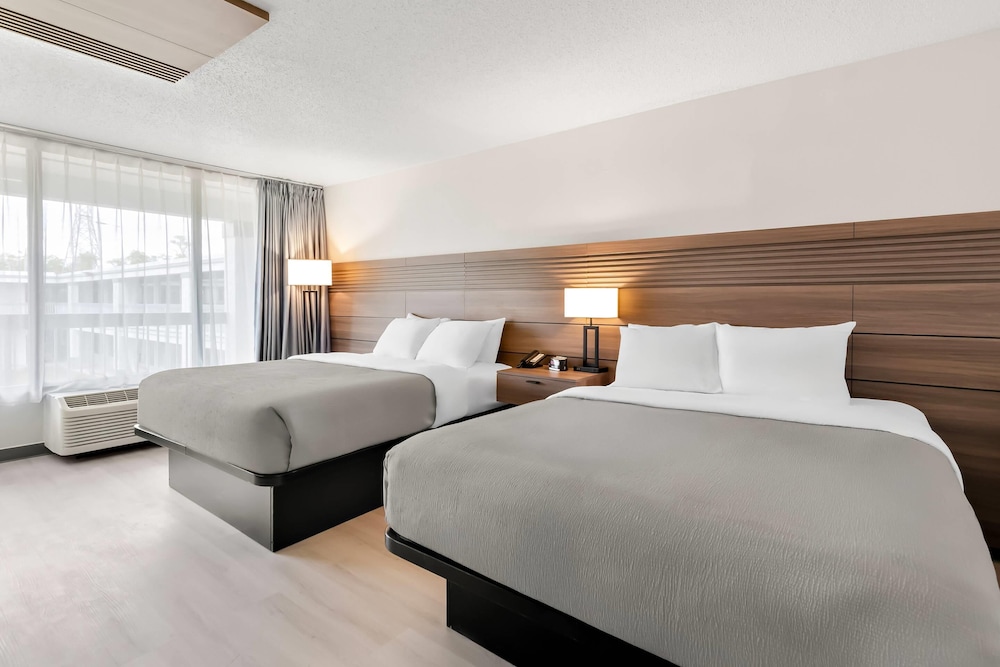 Deluxe, 2 Queen Beds
