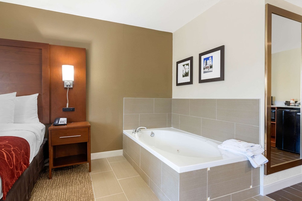 Comfort Inn & Suites Macon West 18/41