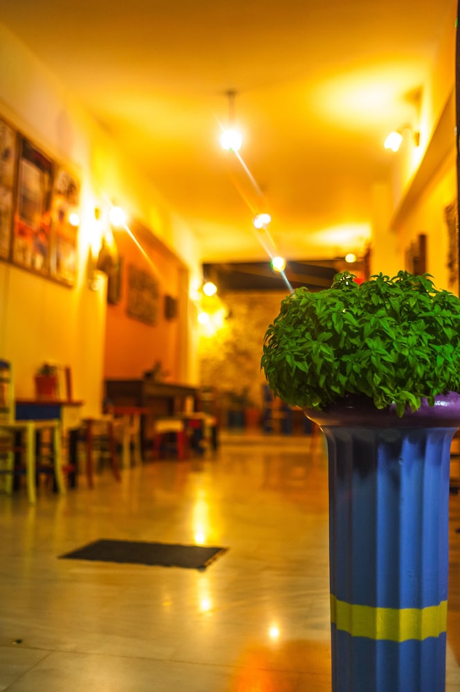Poco Loco Hotel 45/50