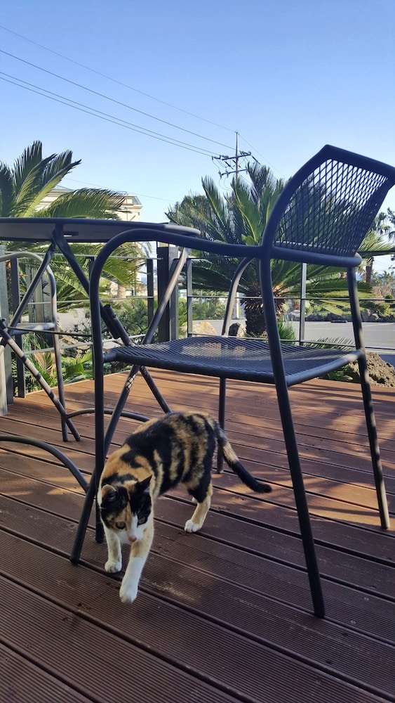 Familia Hotel Jeju 43/61