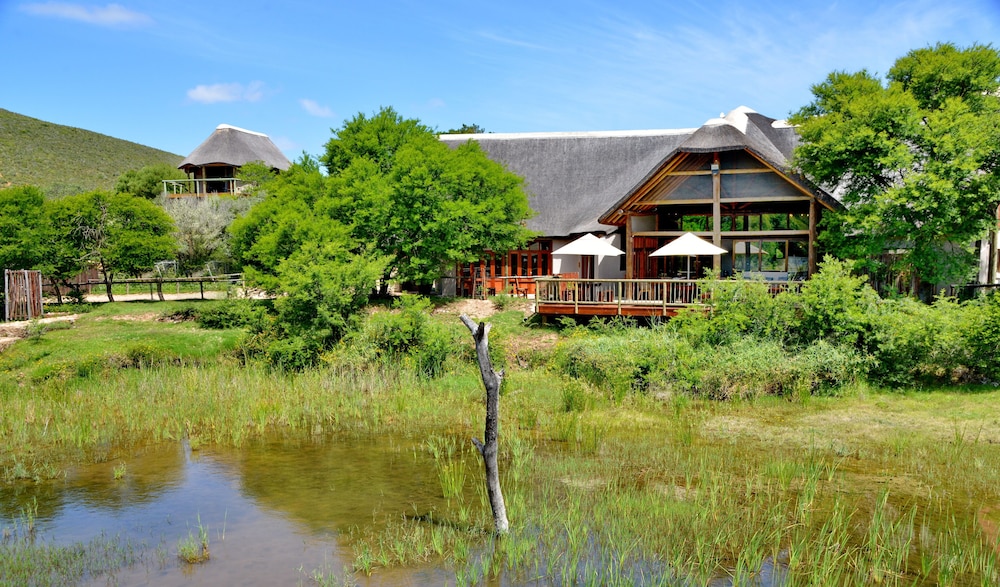 Garden Route Safari Camp 43/50