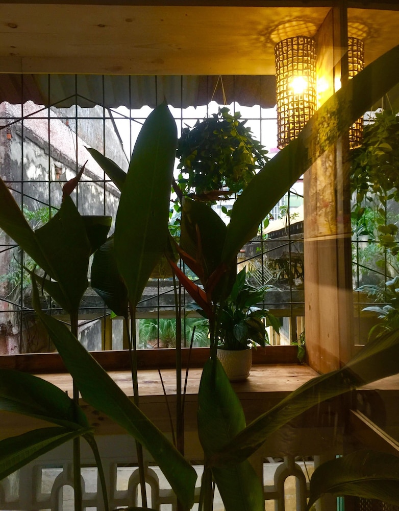 A Green Home 27/30
