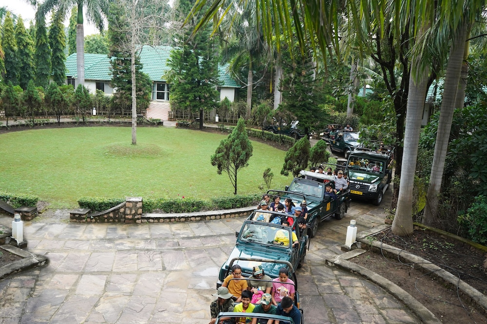 Village Machaan Resort 31/46