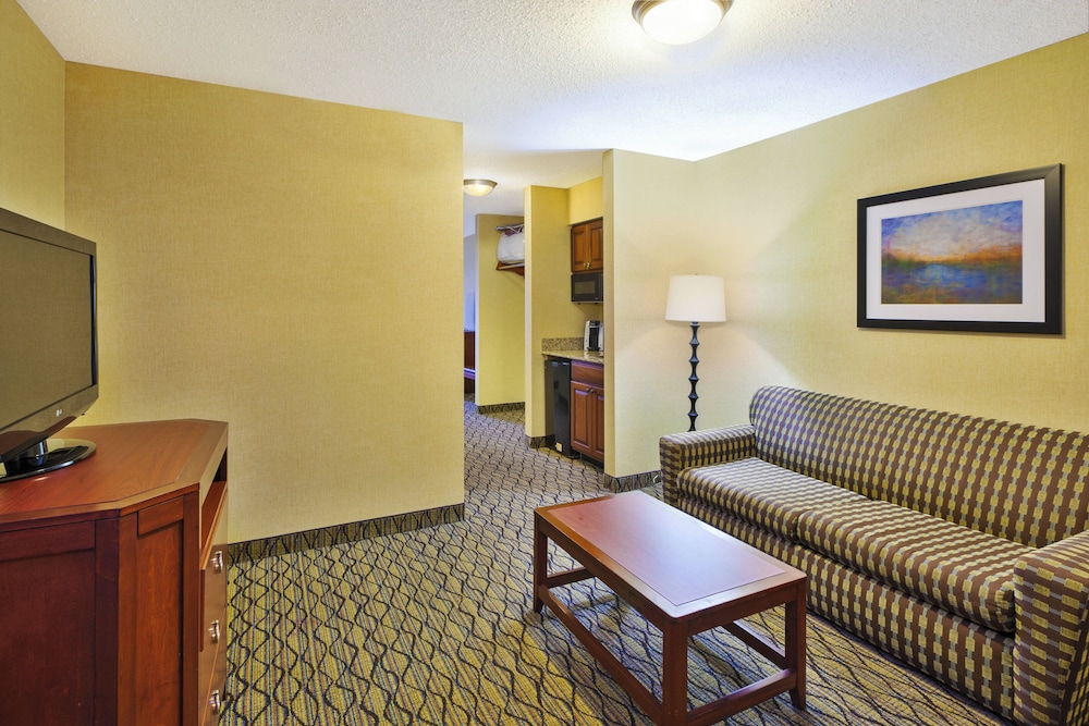 Holiday Inn Express & Suites Belleville (Airport Area) 35/50