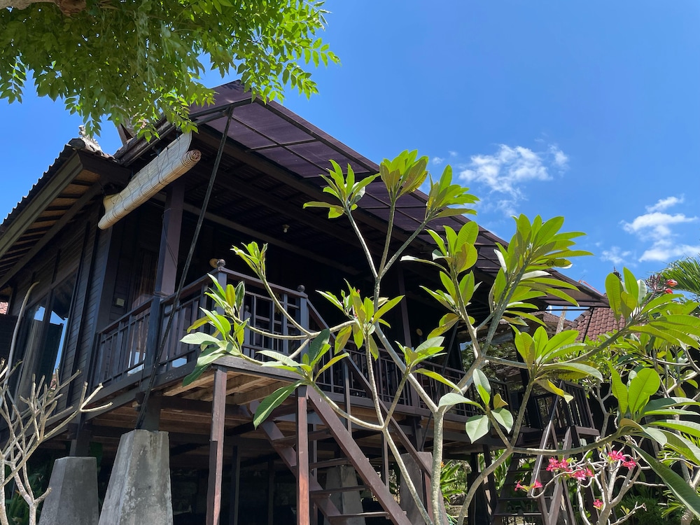 Poh Manis Lembongan 3/75