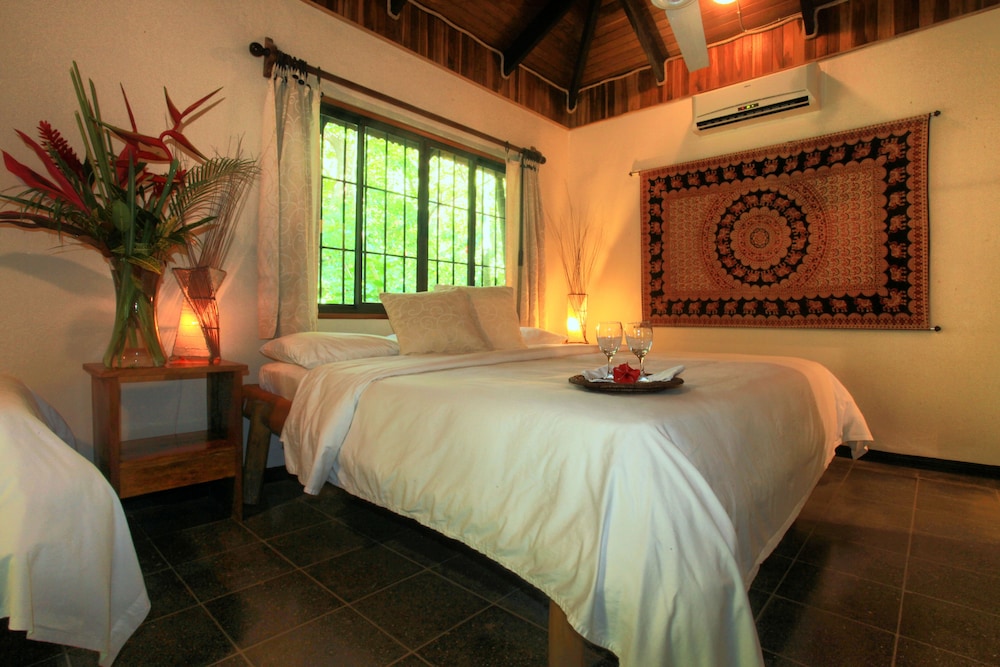 Tropico Latino Hotel 32/74