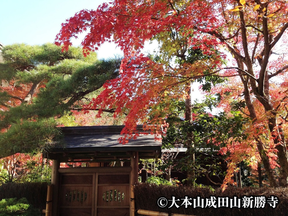 NARITA U-CITY HOTEL 12/47