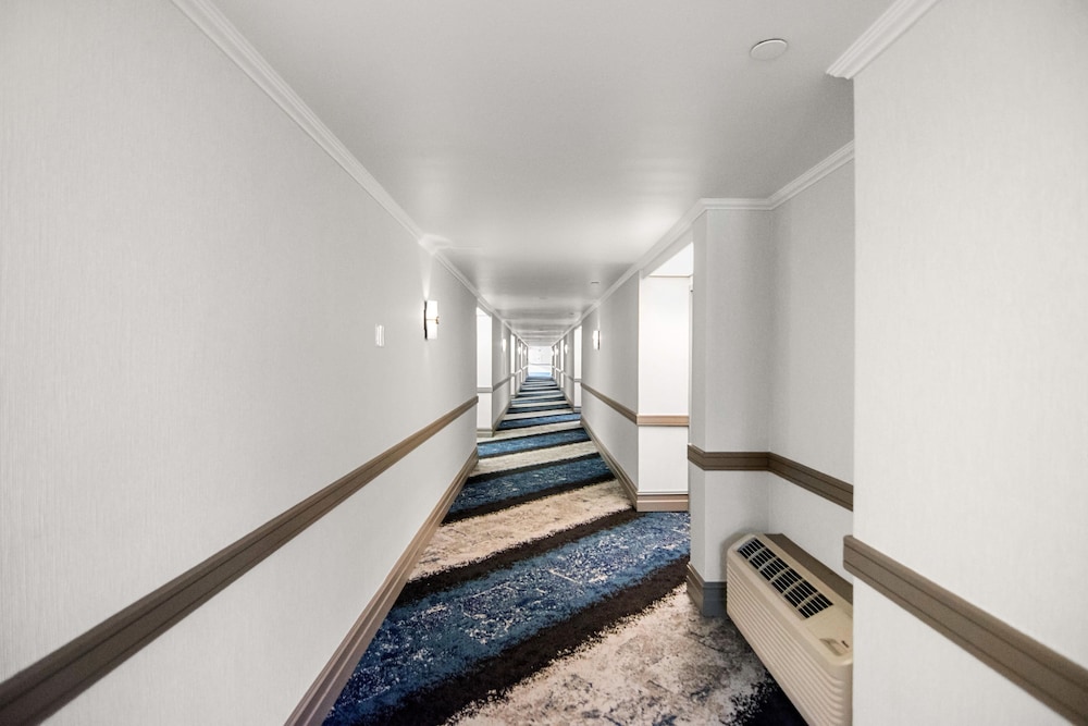 Miami Lakes Hotel 25/48
