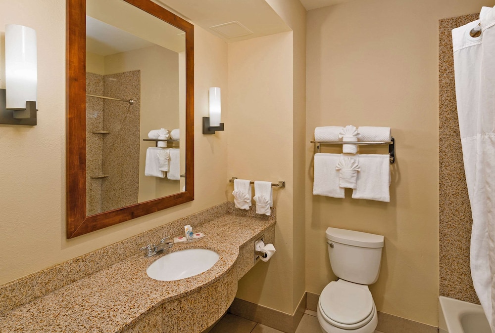 Comfort Inn & Suites Augusta West Near Fort Gordon 13/49