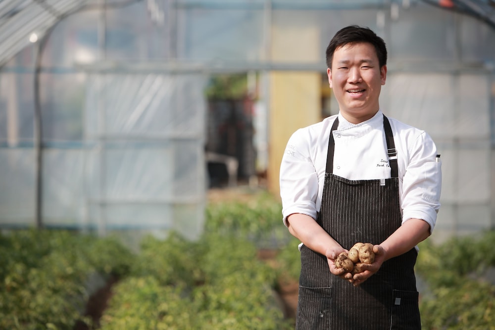 PARK ROCHE RESORT AND WELLNESS 6/50