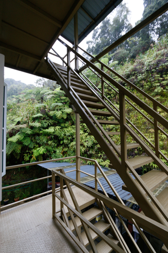 Swing and Pillows at Golden Lodge Tanah Rata, Cameron Highland 1/11