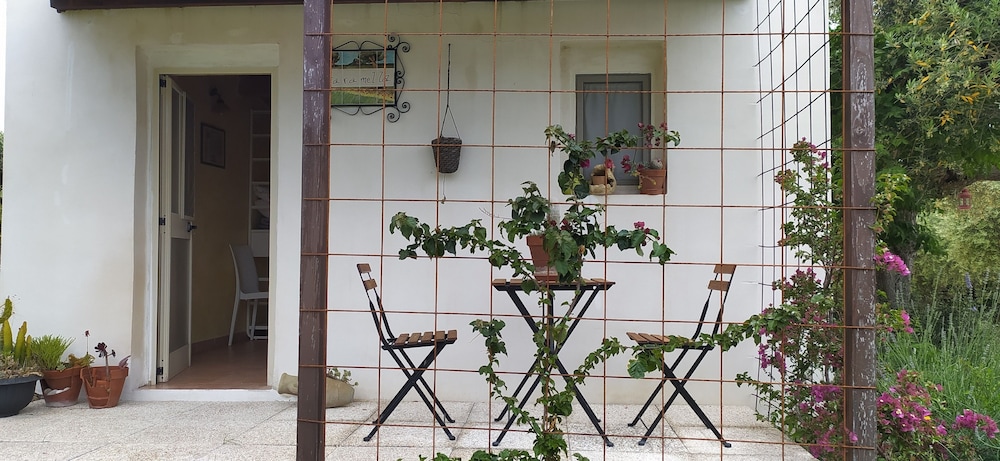 Il Giardino Fra Gli Ulivi 2/56