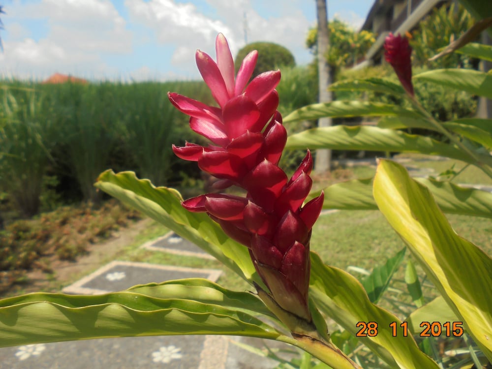 BIYUKUKUNG SUITES AND SPA 38/50