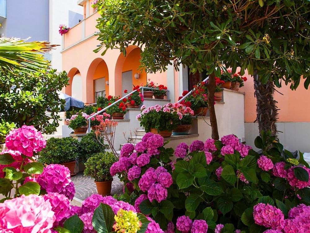 Amadei Hotel Blumen 28/34