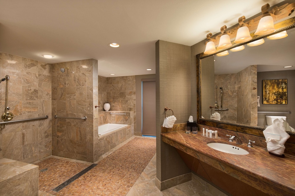 Embassy Suites by Hilton Dallas Frisco Hotel and Convention Center 15/63