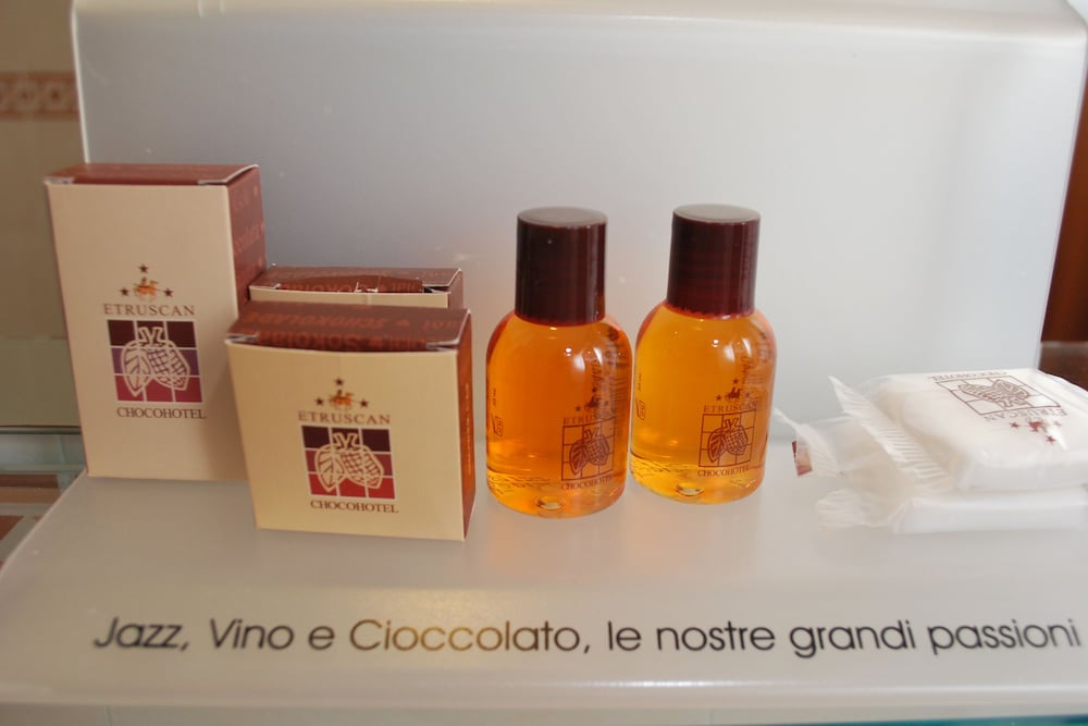 伊特鲁里亚可卡酒店(Chocohotel) 图片5