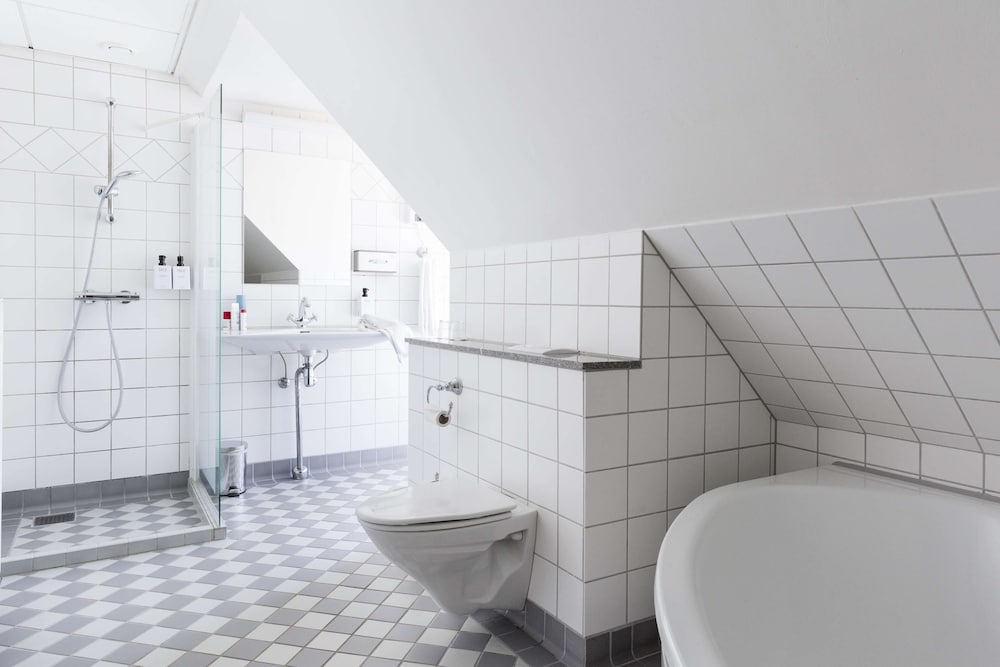 Scandic Webers 25/66