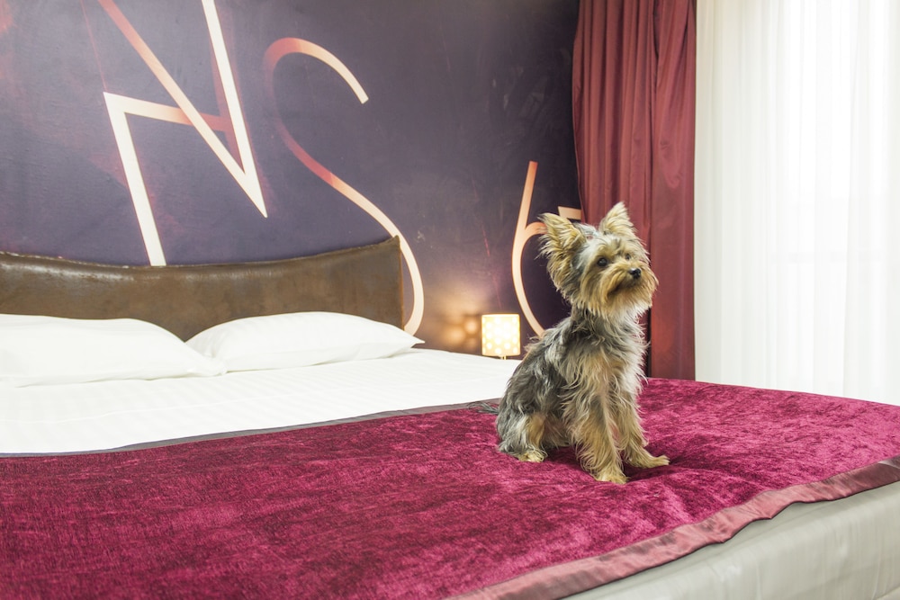 Hollywoodland Wellness And Spa Hotel 63/66