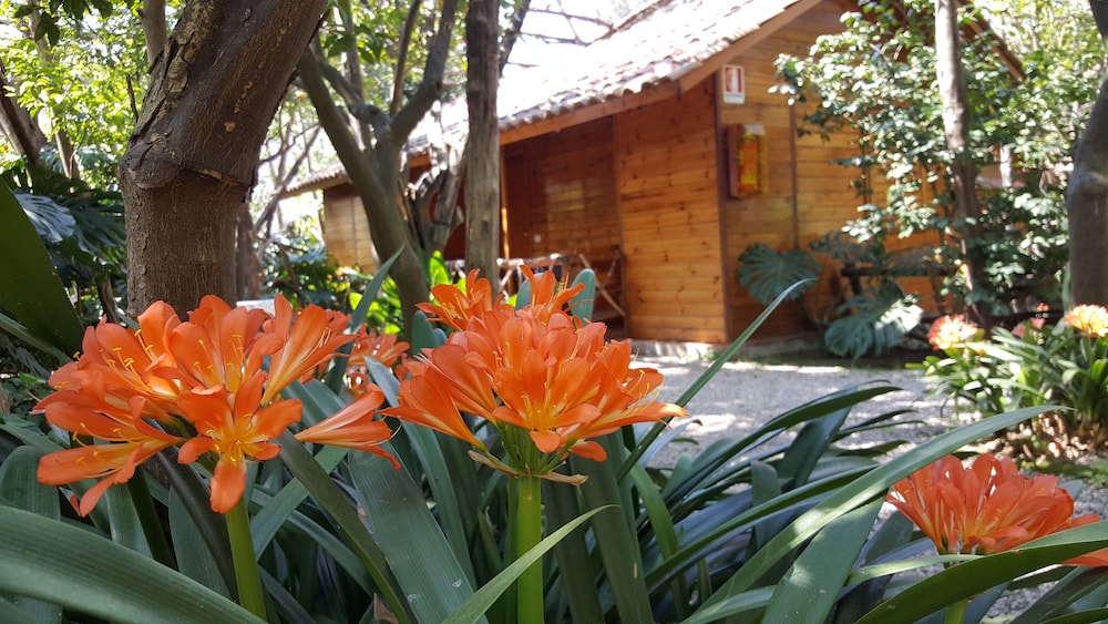 VILLAGGIO VERDE 51/52