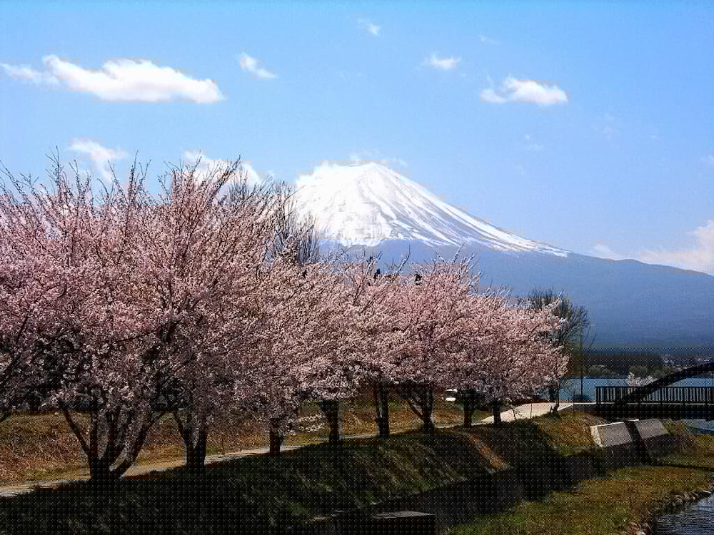 Guesthouse Sakuya photo2