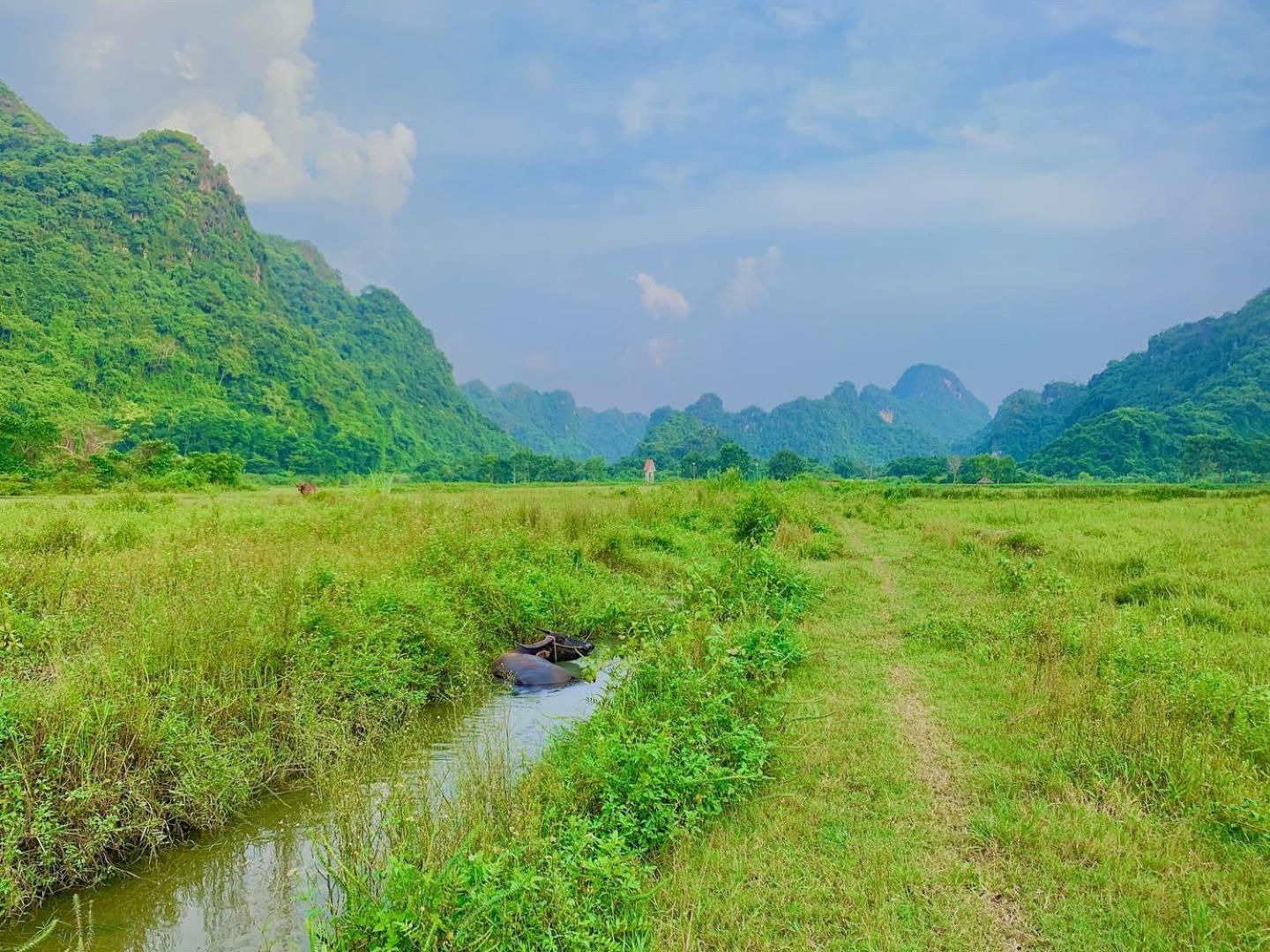 Long Phuong Homestay 37/55