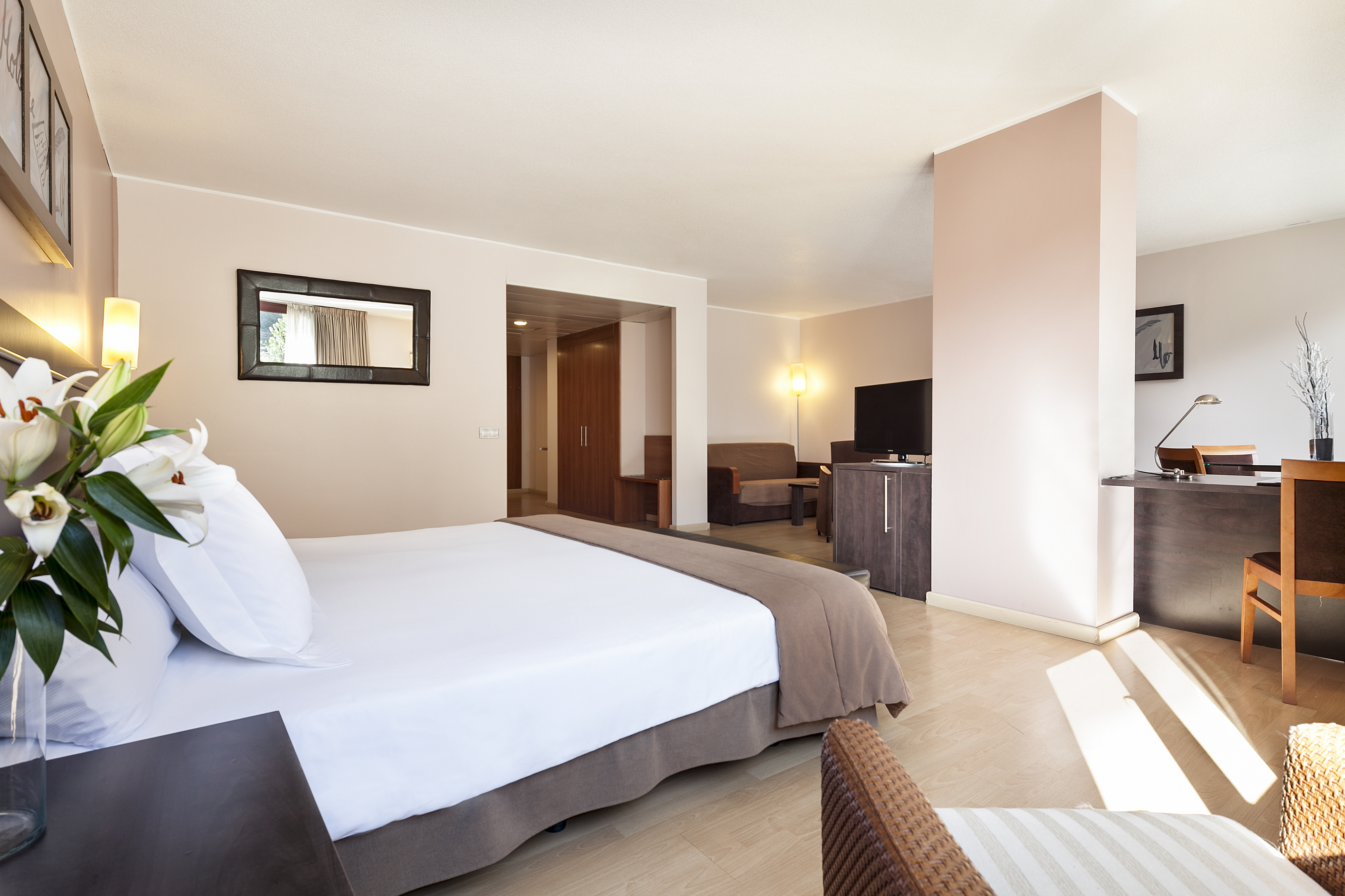 جناح، Acta Arthotel 3/7