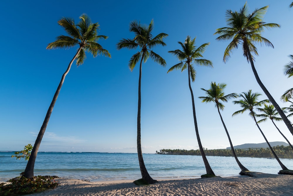 Wyndham Alltra Samana All Inclusive Resort 47/50