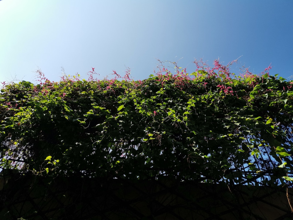 La Belle Vie Tam Coc Homestay 17/25