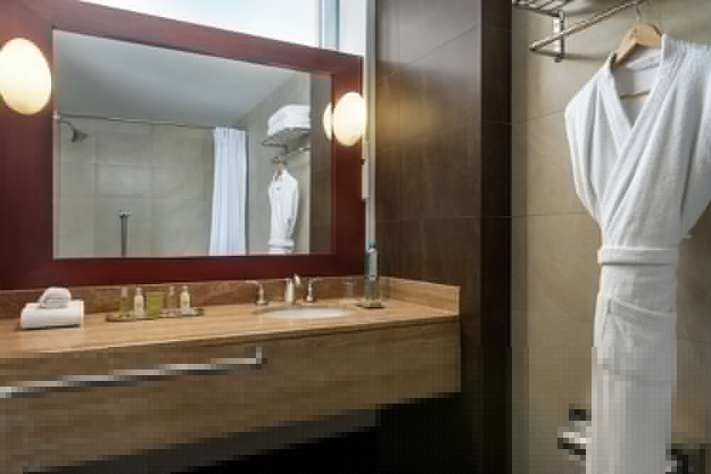 El Pardo Lima - A DoubleTree by Hilton Hotel 29/73