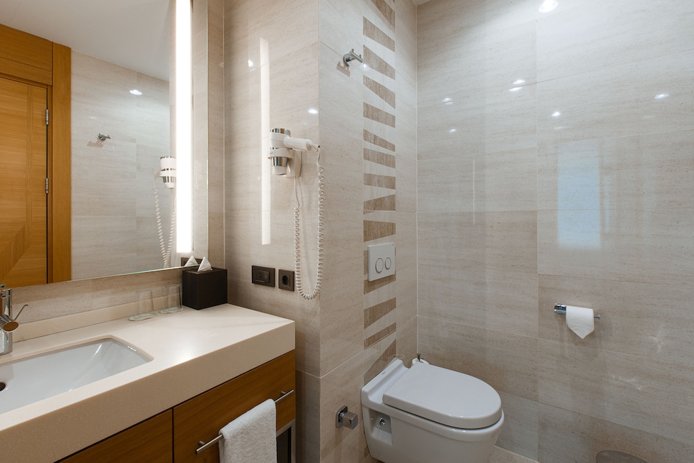 Holiday Inn Baku 11/59