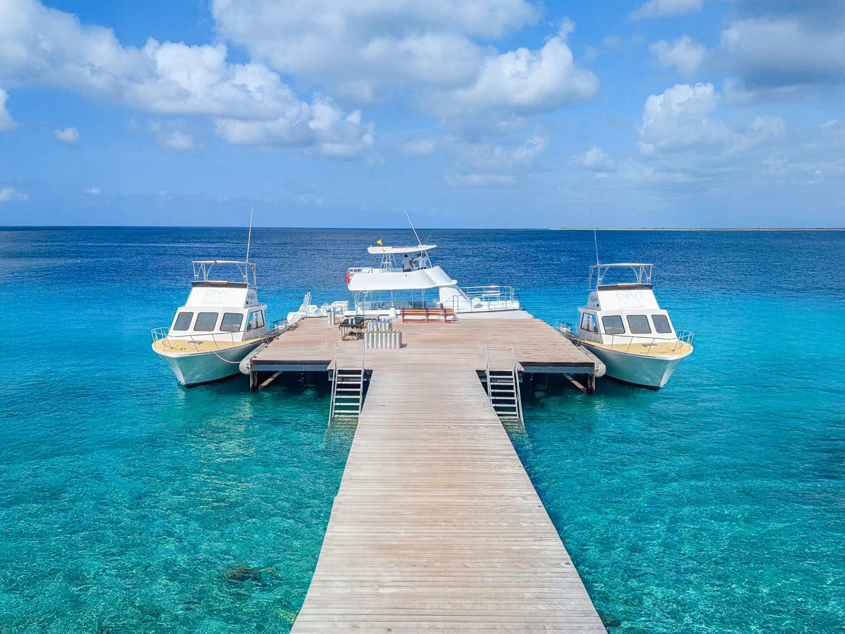 Divi Flamingo Beach Resort 31/47